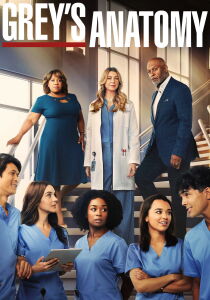 Grey's Anatomy streaming