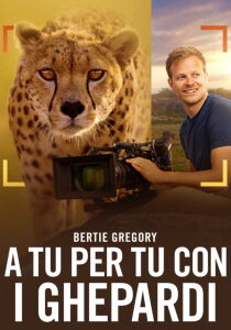 Bertie Gregory - A tu per tu con i Ghepardi [CORTO] [Sub-ITA] streaming